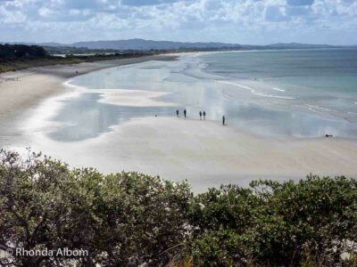 Looking down on Waipu Cove Beach from the walkway is one of the best things to do in Waipu