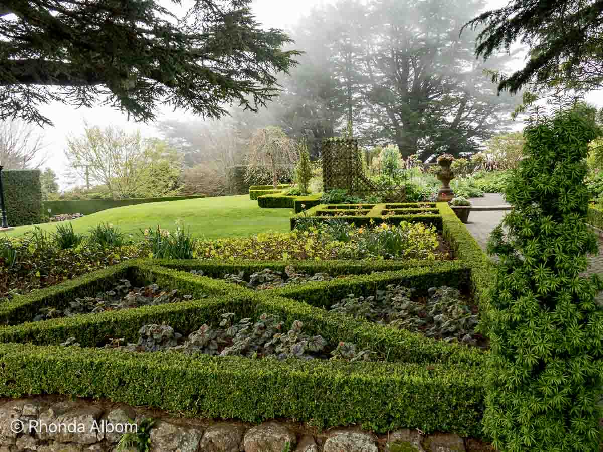 10-great-dunedin-cruise-port-options-wildlife-to-a-castle