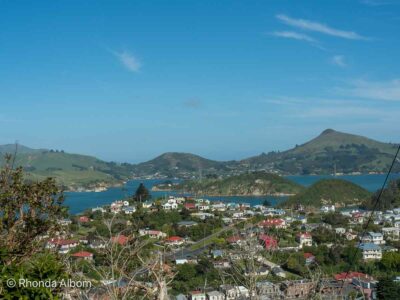 Stunning scenery as you cruise into the Dunedin cruise port.