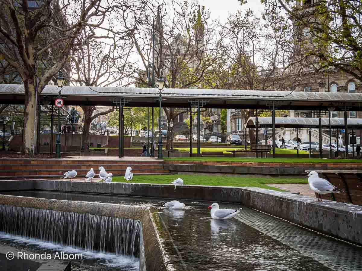 10-great-dunedin-cruise-port-options-wildlife-to-a-castle