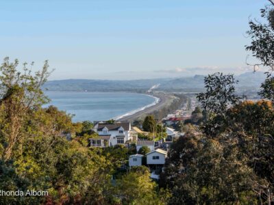 View of Napier from Bluff Hill, the commercial port which serves as the Napier cruise port is behind me