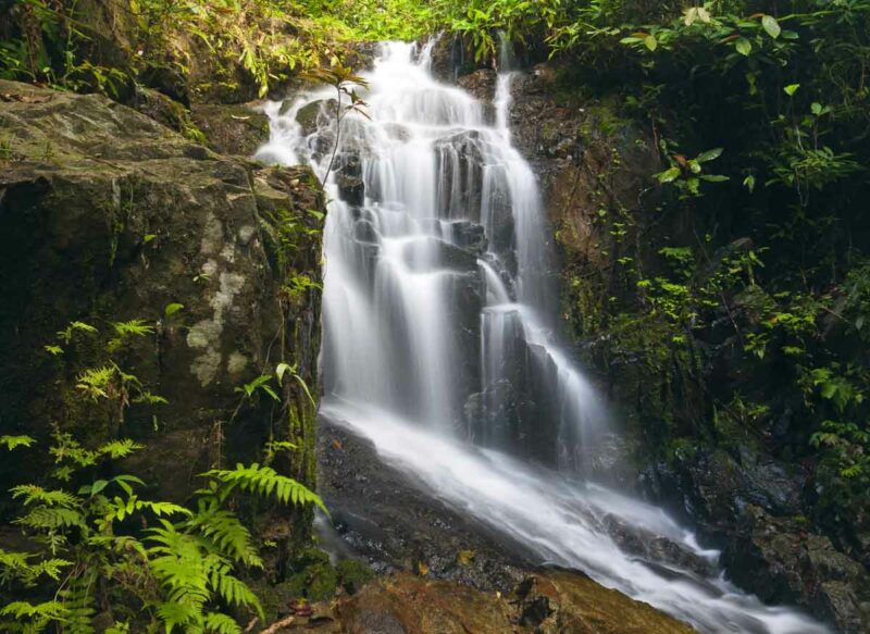 The Tonsai Waterfall seen on a hike in Khao Phra Teaw National Park in Phuket Thailand