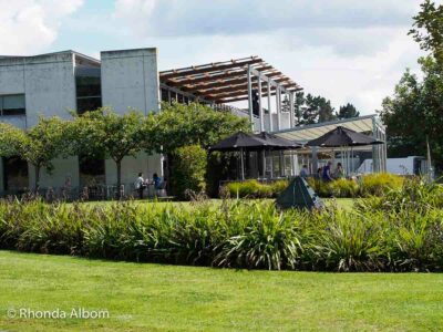 Touring, tasting, or eating at the cafe at Villa Maria are among the best things to do near Auckland Airport