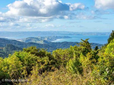 One of many stunning views on our Auckland to Napier drive, this one is just before we reach Napier.