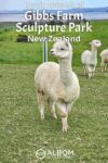 Wondering how to get tickets for Gibbs Farm sculpture park? Our guide covers everything you need to know for a perfect visit, from sculptures to exotic animals, like these alpaca.
