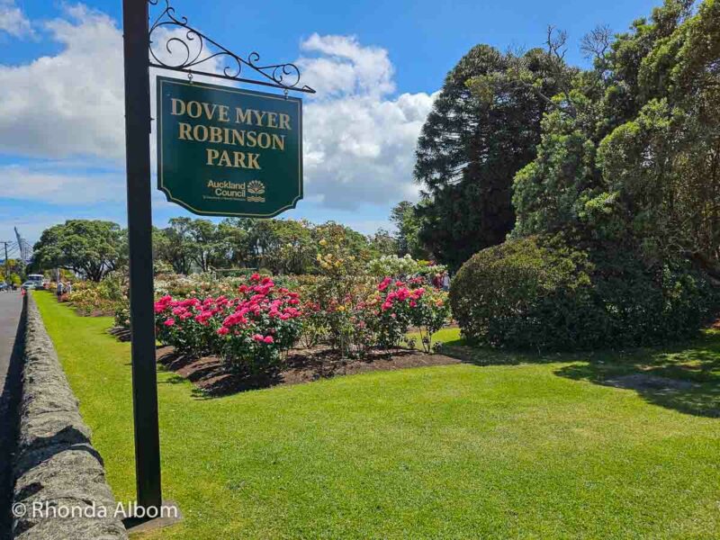 Parnell Rose Garden - Dove Myer Robinson Park