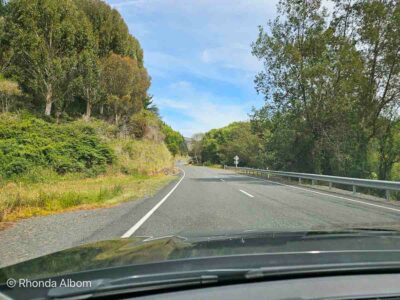 A section of road on our Picton to Christchurch road trip.