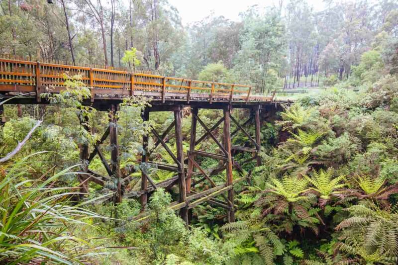 A wooden bridge in Noojee Australia