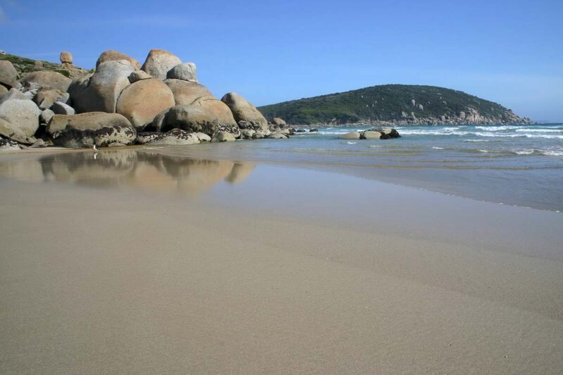 Wilsons Promontory is one of the best Melbourne day trips