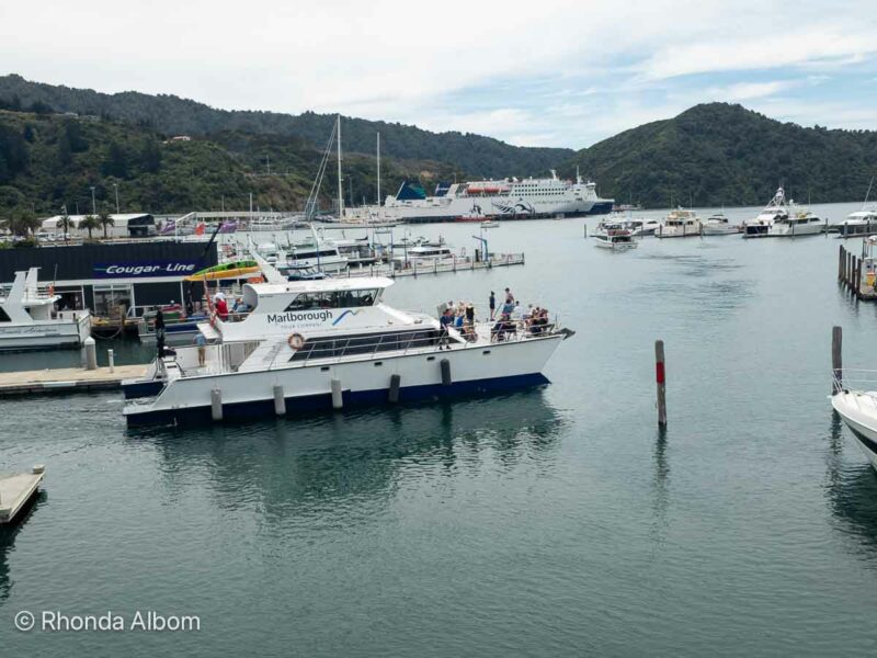 Greenshell Mussel Cruise heading out from Picton Harbour