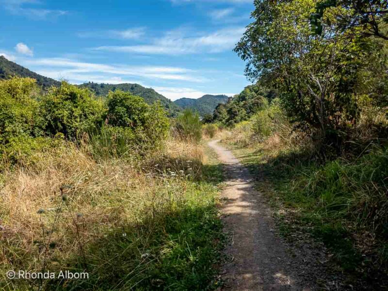 Picton to Waikawa Track