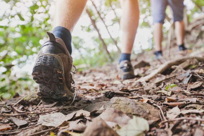 Feet in hiking shoes trekking along a path.