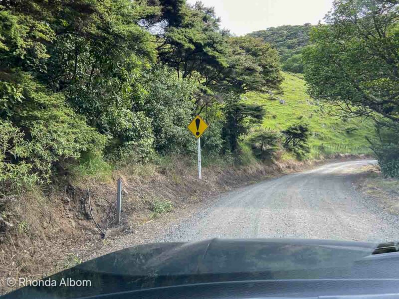 an interesting road sign makes renting a car in New Zealand a challenge