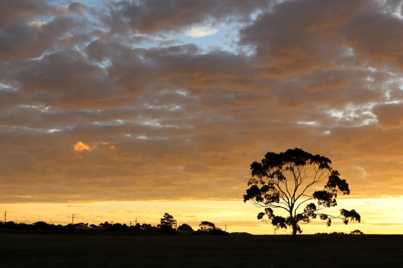 Sunset is one of the things to think about when choosing Geelong tours