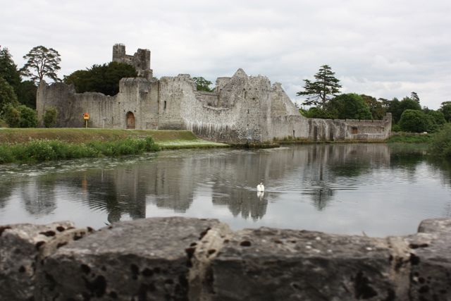 Adare -first views from car - 1 castle and swan in the town of Adare in Ireland.