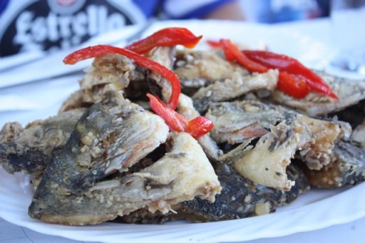Fish heads Funny Photos