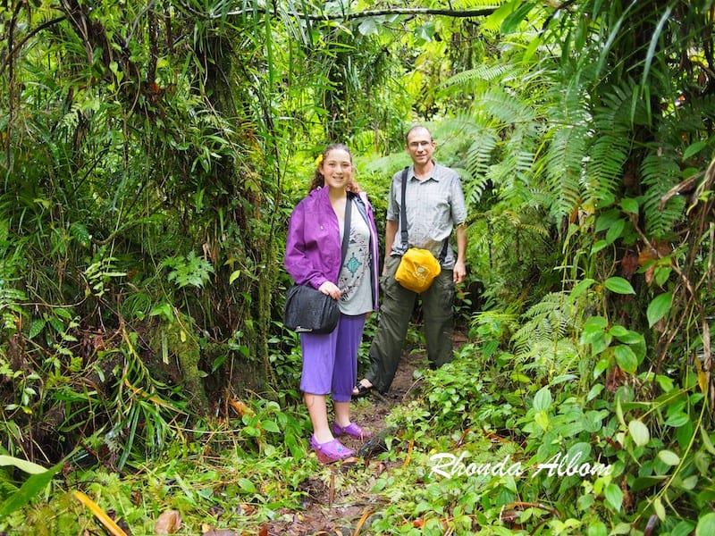 The trail to a view point above Fuipisia Falls