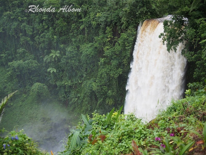 Hiking to Fuipisia Falls A Hidden Gem in Samoa Albom Adventures