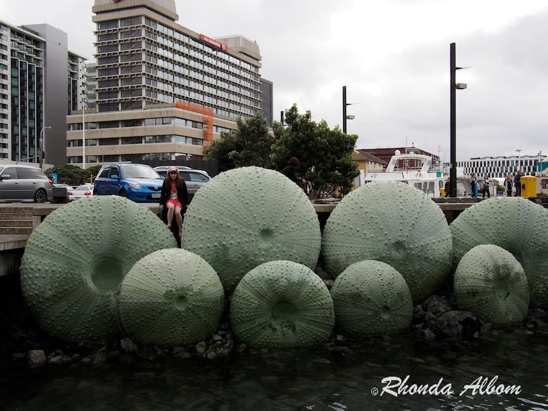 Giant Sea Urchin on Wellington Waterfront Giant Sea Urchin on Wellington Waterfront