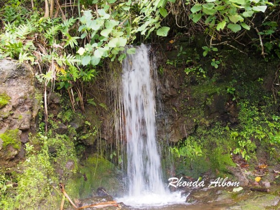 Waterfall where people stop to bath on South coast of Upolu, Samoa